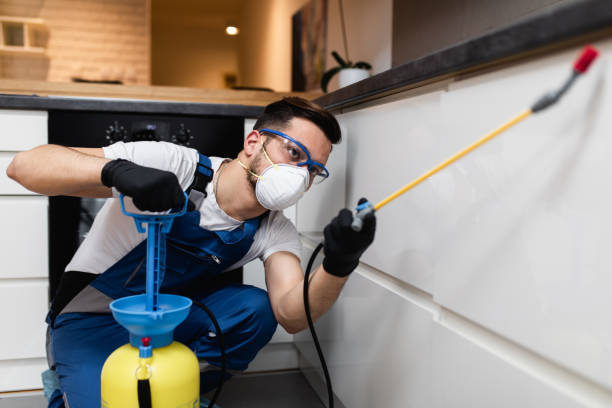 Trusted Chickasaw, AL Pest Control Experts
