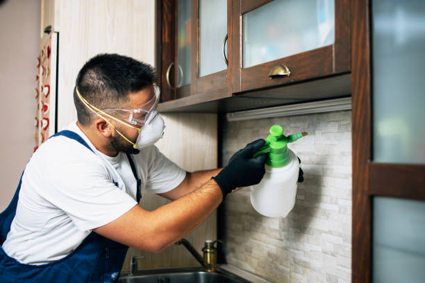 Best Flea Control Services  in Chickasaw, AL