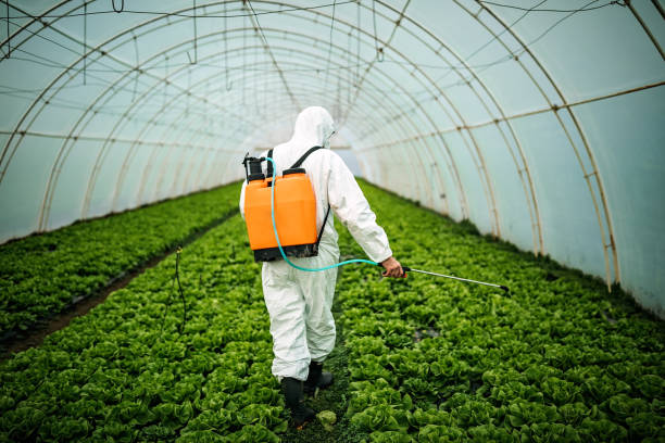 Best Best Pest Control Companies  in Chickasaw, AL