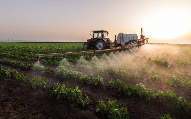 Best Pest Removal Services  in Chickasaw, AL