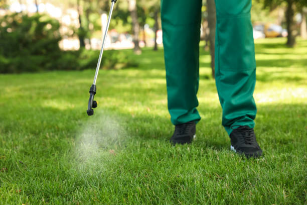 Best Local Pest Control Services  in Chickasaw, AL