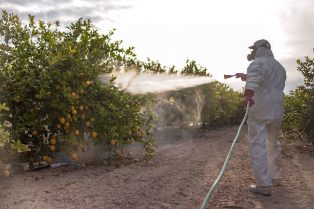 Pest Control for Restaurants in Chickasaw, AL