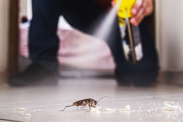 Best Mosquito Control Services  in Chickasaw, AL