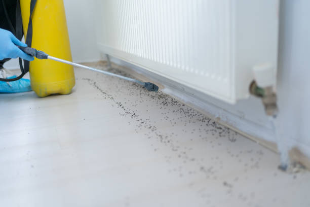 Best Cockroach Control Services  in Chickasaw, AL