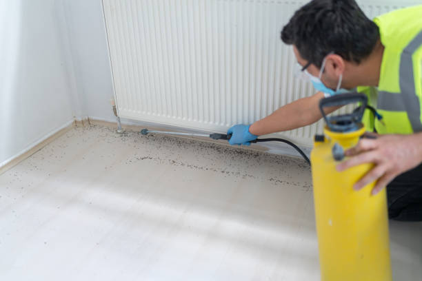 Best Termite Control Services  in Chickasaw, AL