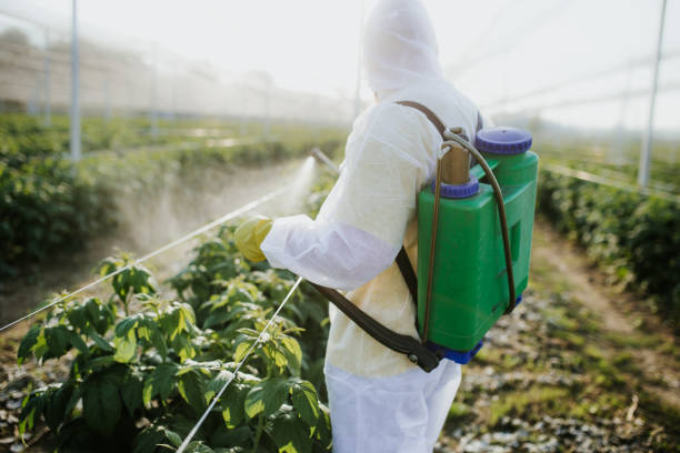 Best Pest Control for Restaurants  in Chickasaw, AL